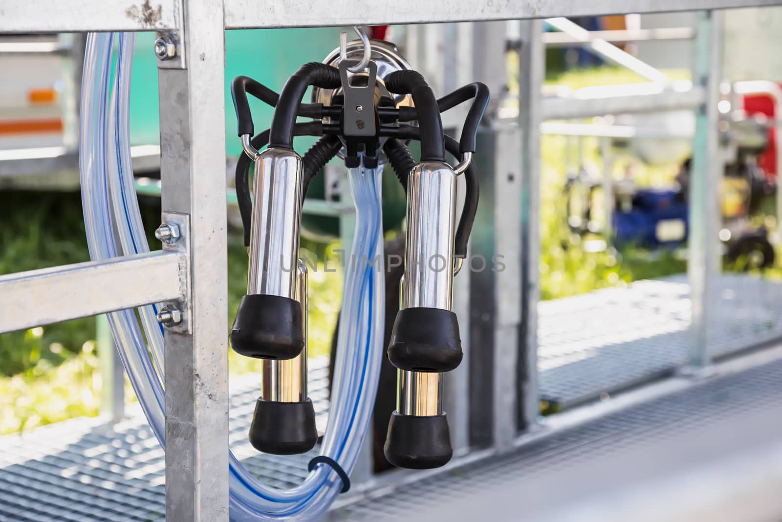 Automated mechanized milking equipment closeup for farmland industry