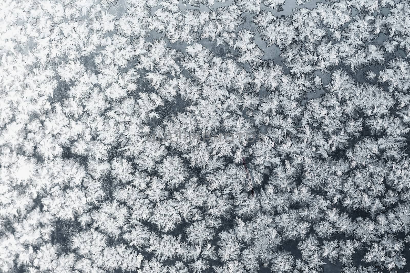 Snowflakes pattern or textrure background on frozen winter christmas siver or gray colored window. Selective focus with blur edges of image