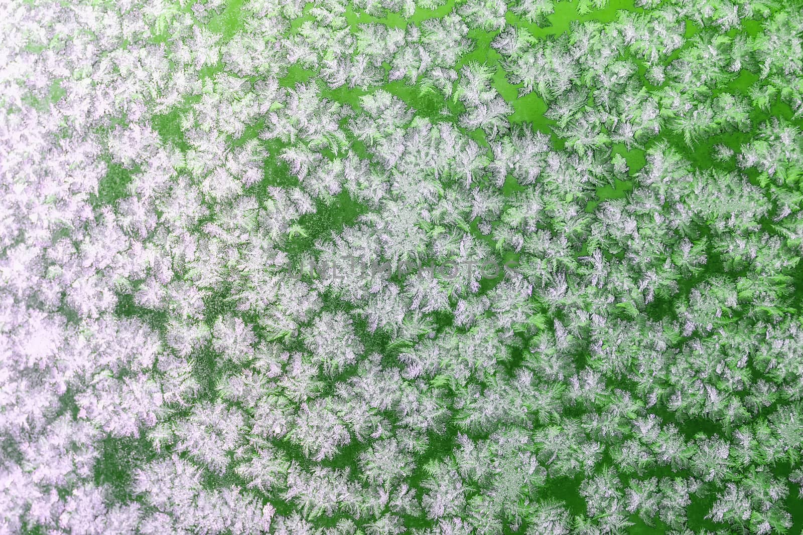 Snowflakes pattern or textrure background on frozen winter christmas green colored window. Selective focus with blur edges of image