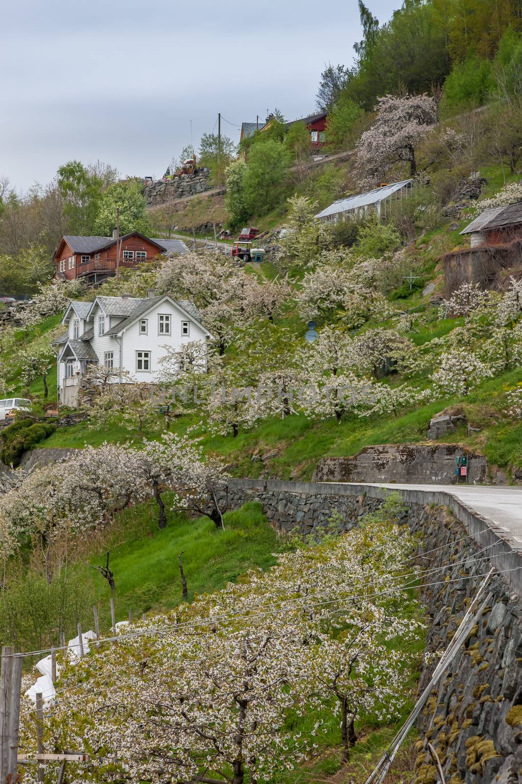 Landscape with mountains in Norwegian village. spring in Norwegian fjords