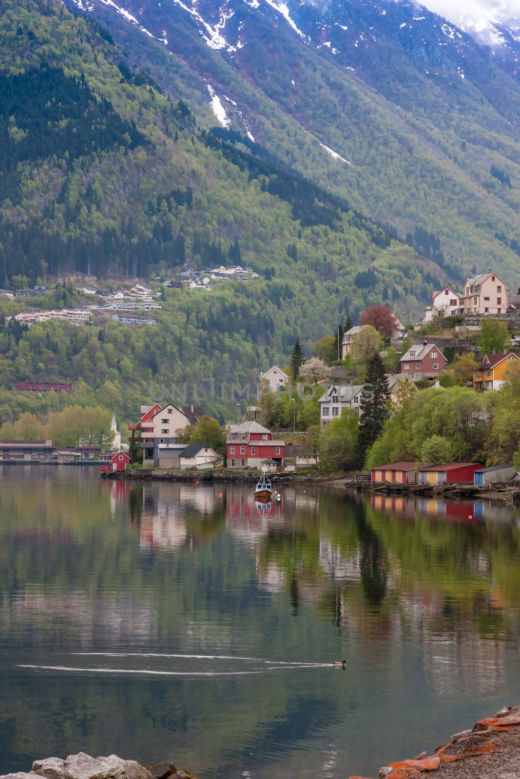 scenic landscapes of the northern Norwegian fjords in  spring .