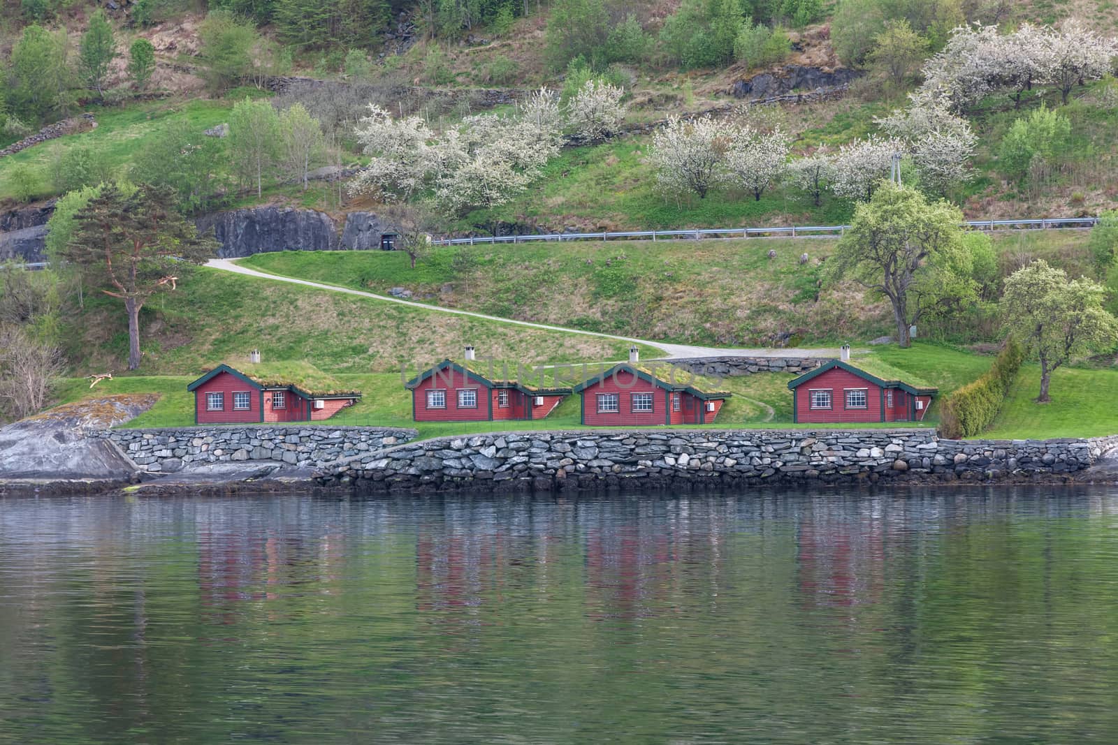 Landscape with mountains.  village in Norwegian fjords by master1305