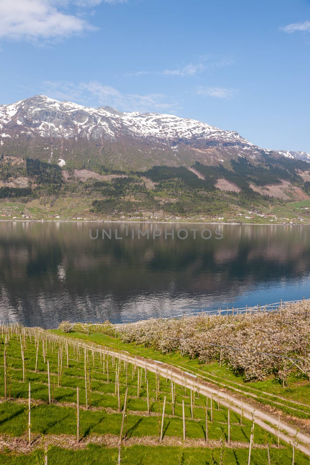 scenic landscapes of the northern Norwegian fjords in  spring .