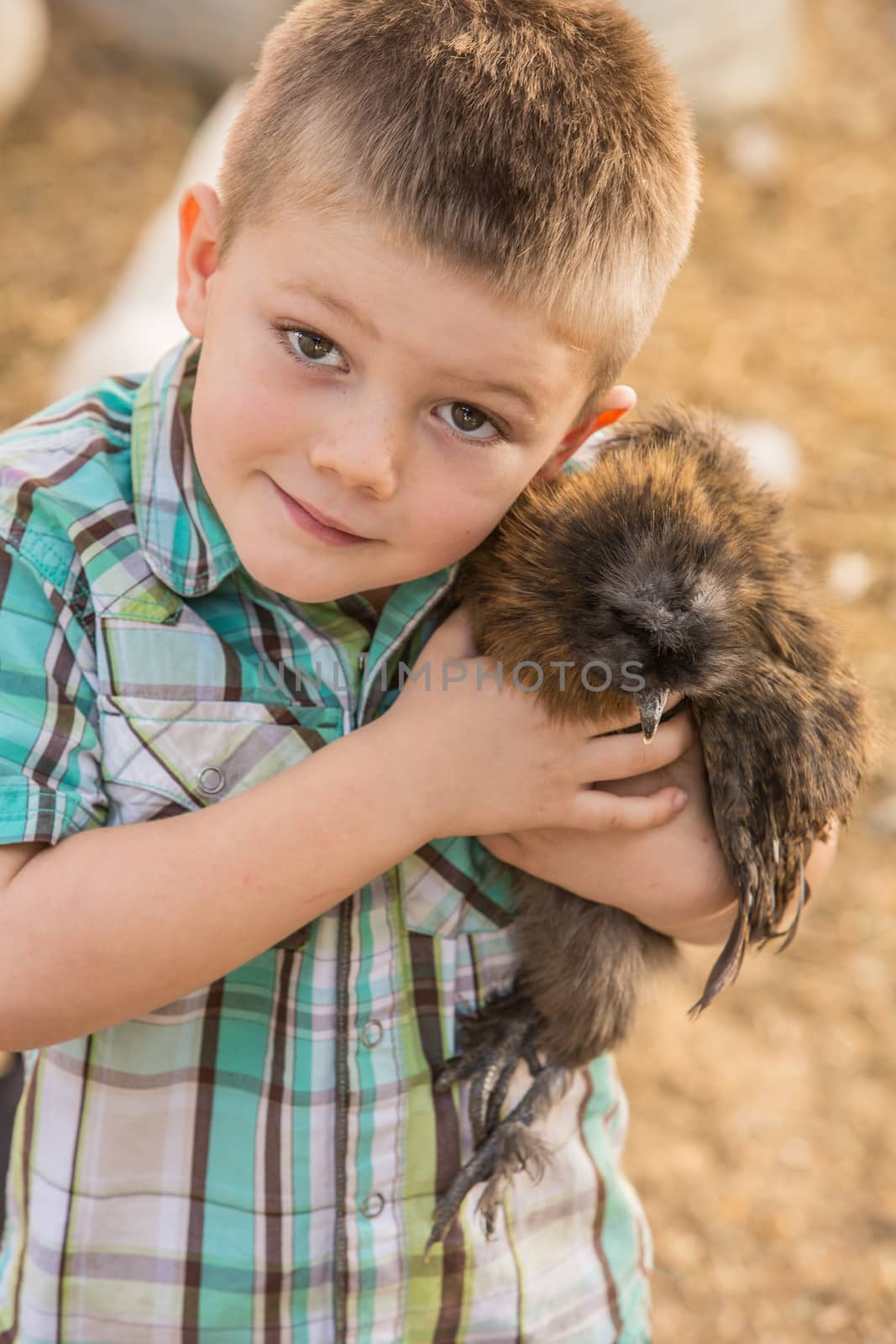 Smiling boy outside hugs his pet chicken