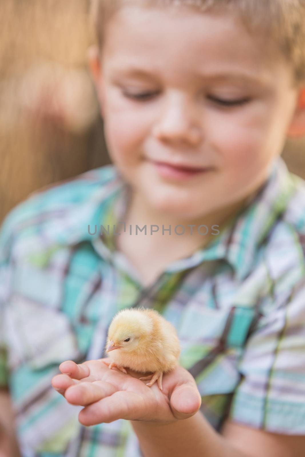 Cute Caucasian boy holding his pet chick