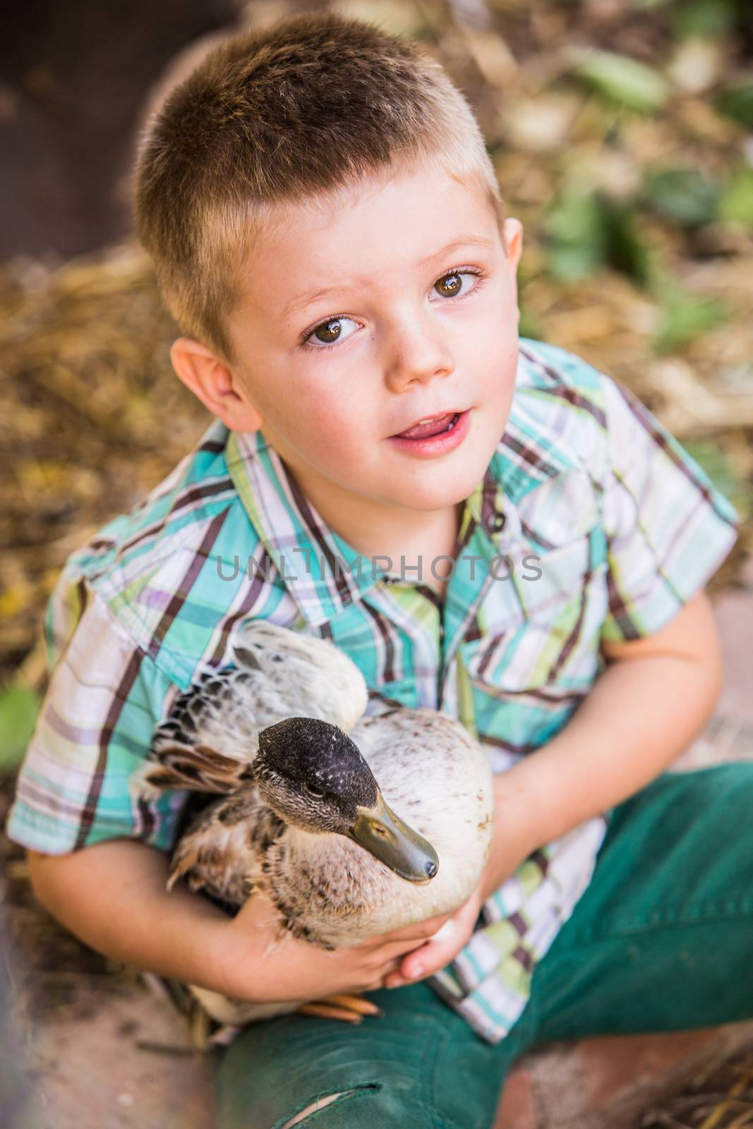 Cute Caucasian male child with duck his pet duck