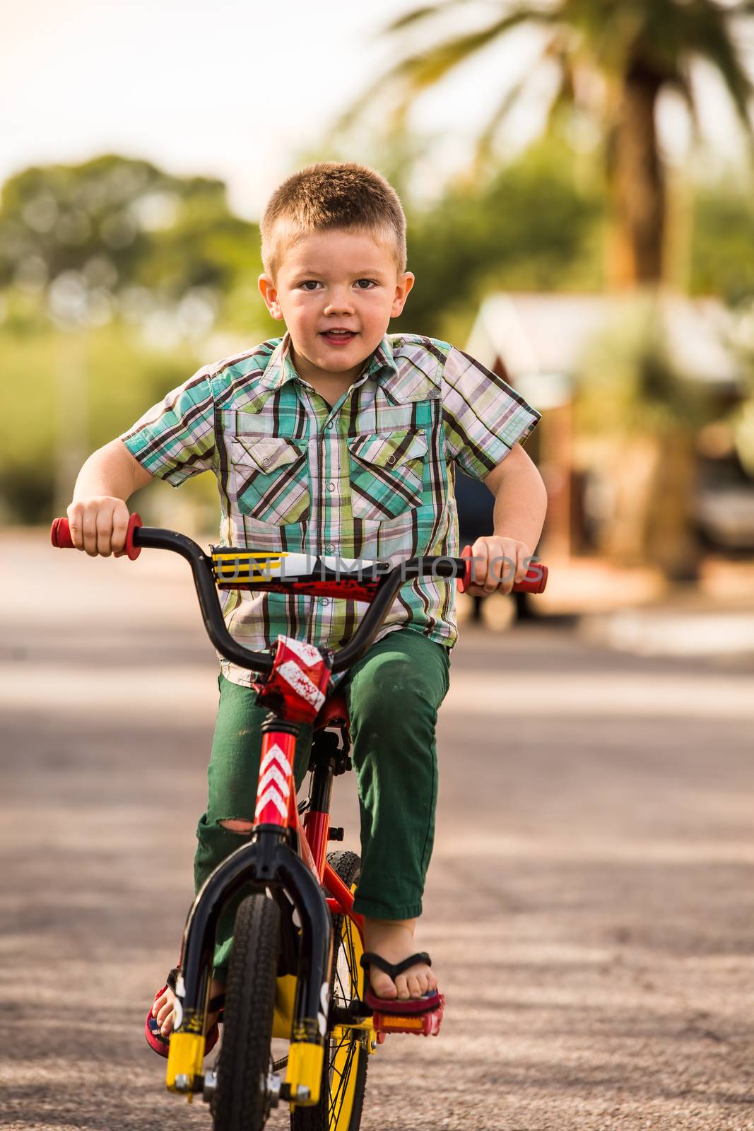 Single young boy having fun riding his bike