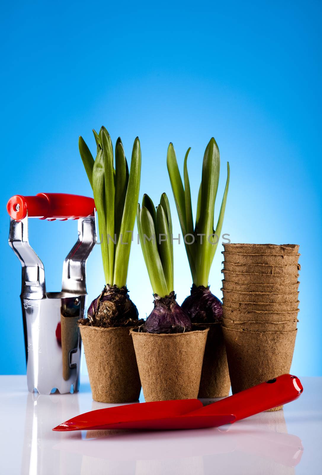 Gardening equipment of green plants