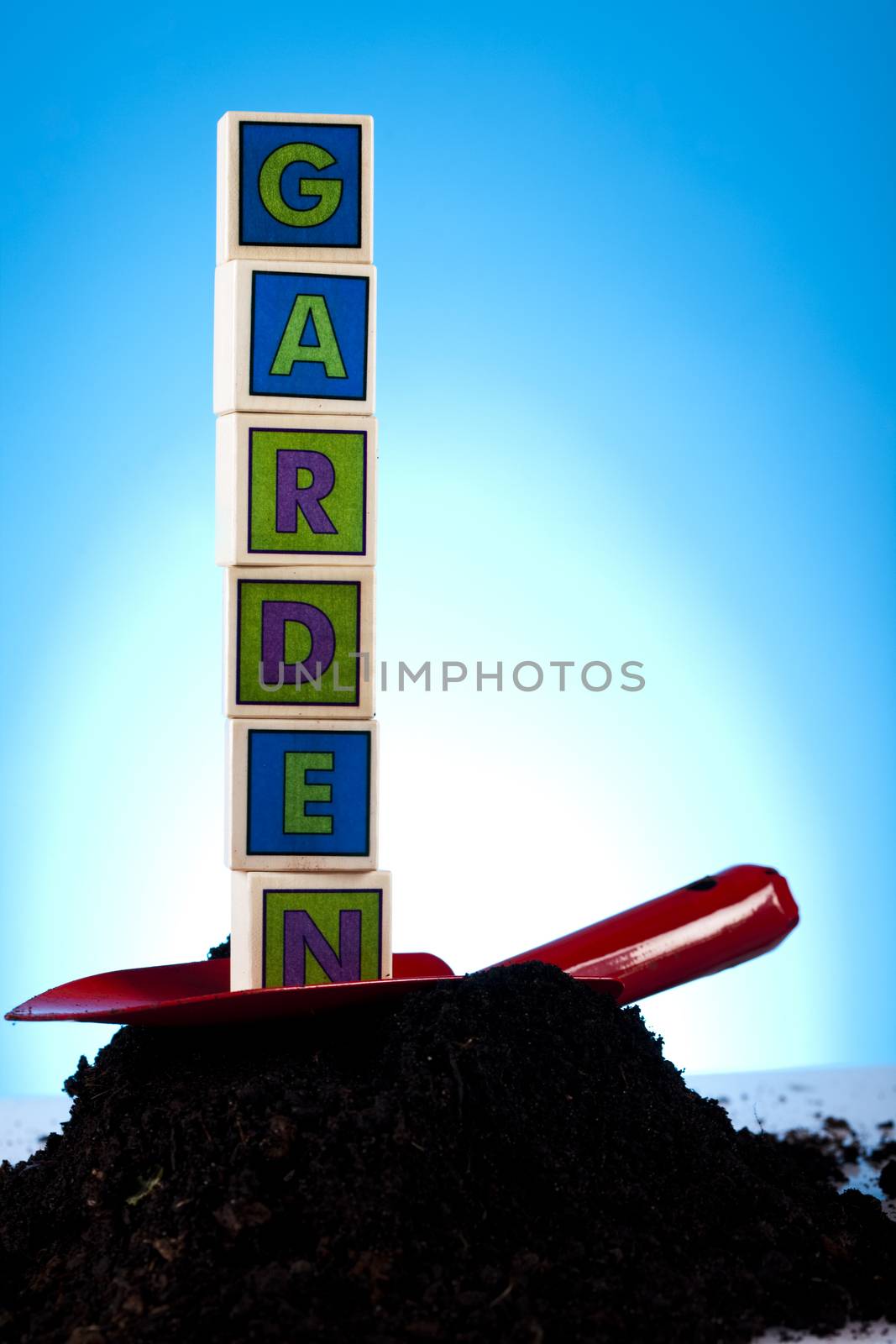 Gardening concept, work tools, plants