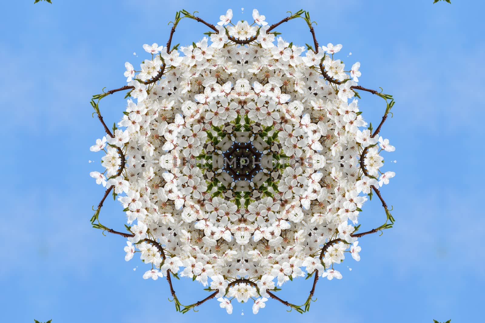 kaleidoscopic floral pattern by ires007