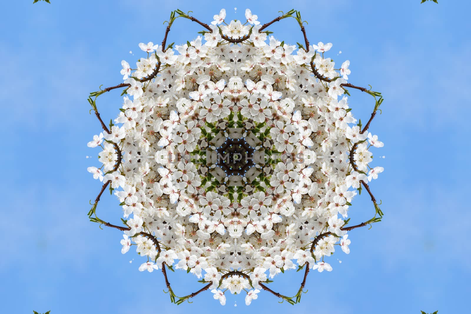 kaleidoscopic floral pattern, abstract background for design