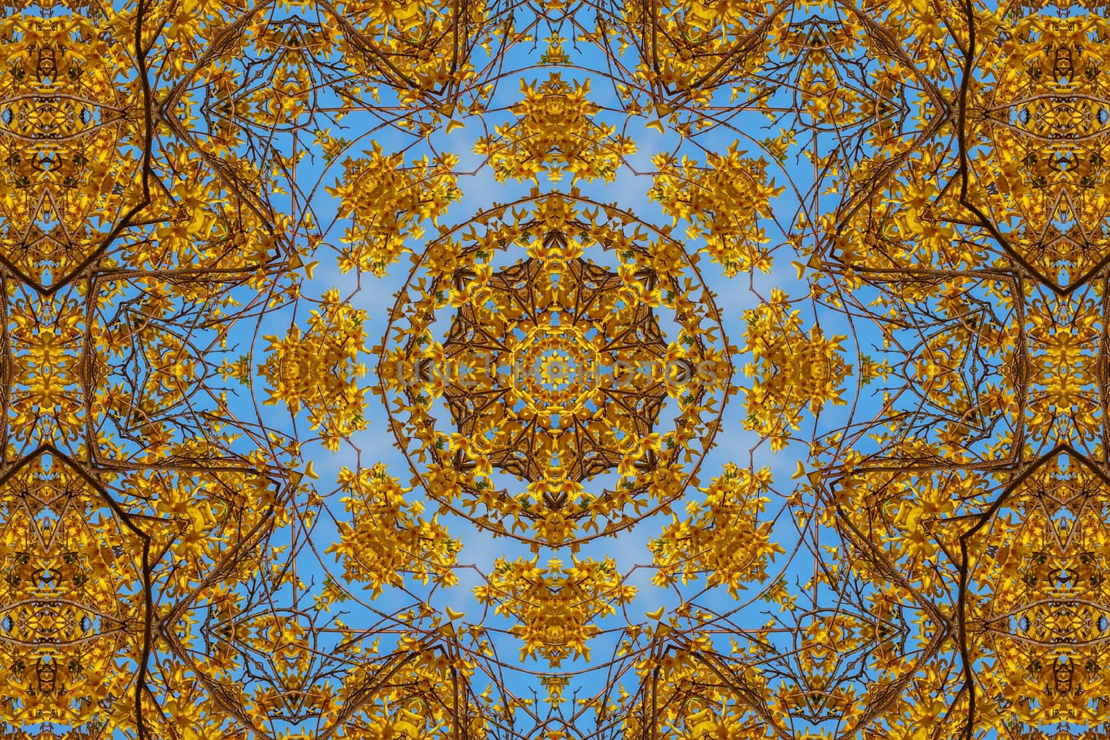 kaleidoscopic floral pattern, abstract background for design