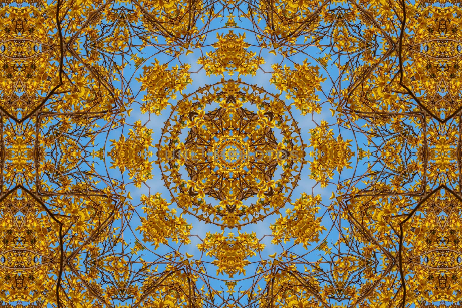 kaleidoscopic floral pattern, abstract background for design