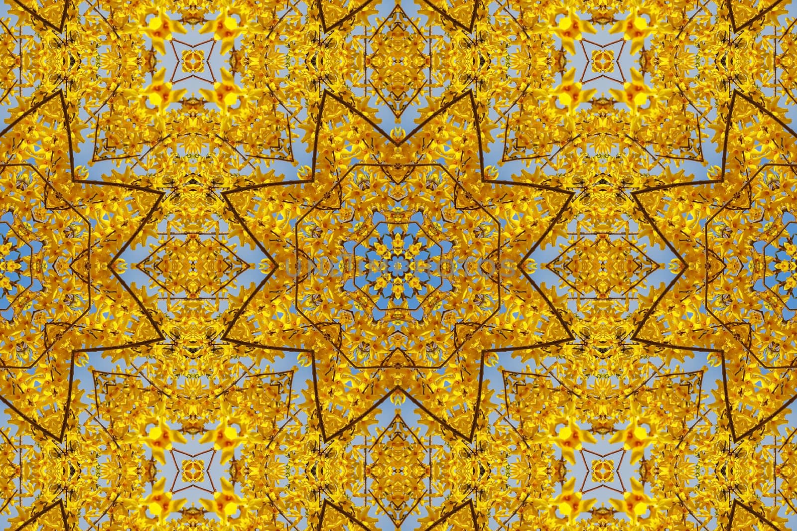 kaleidoscopic floral pattern, abstract background for design