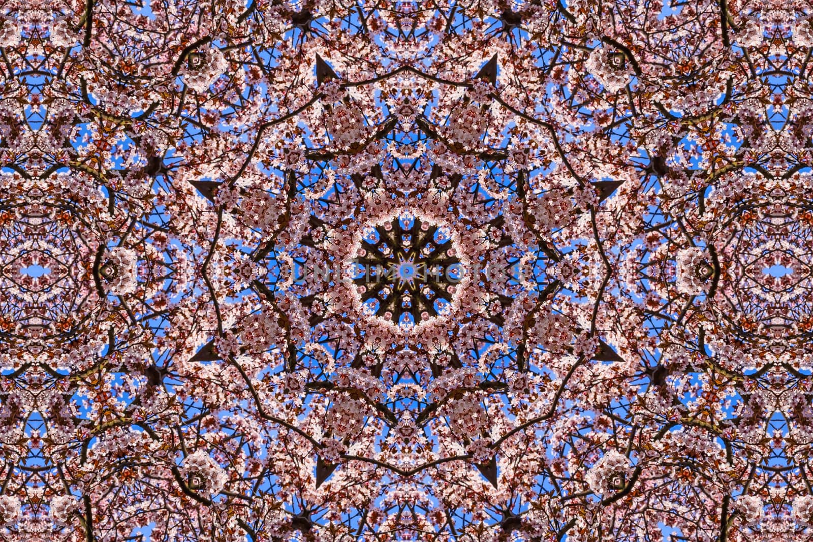 kaleidoscopic floral pattern, abstract background for design