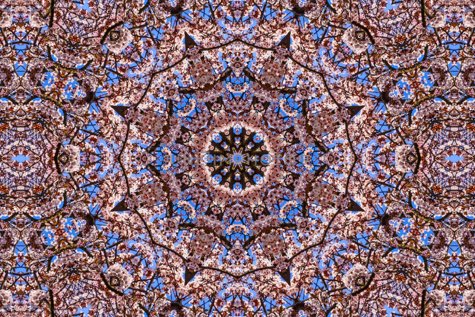 kaleidoscopic floral pattern, abstract background for design