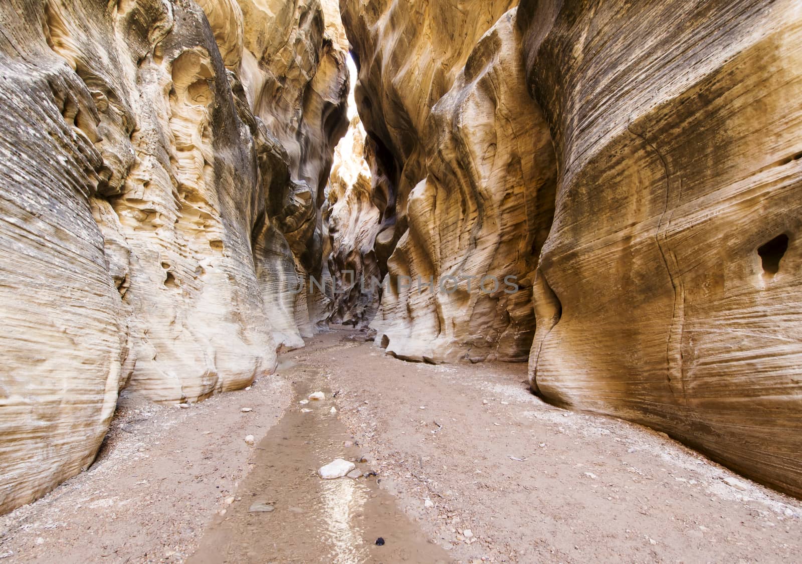 Willis Creek Canyon by leieng