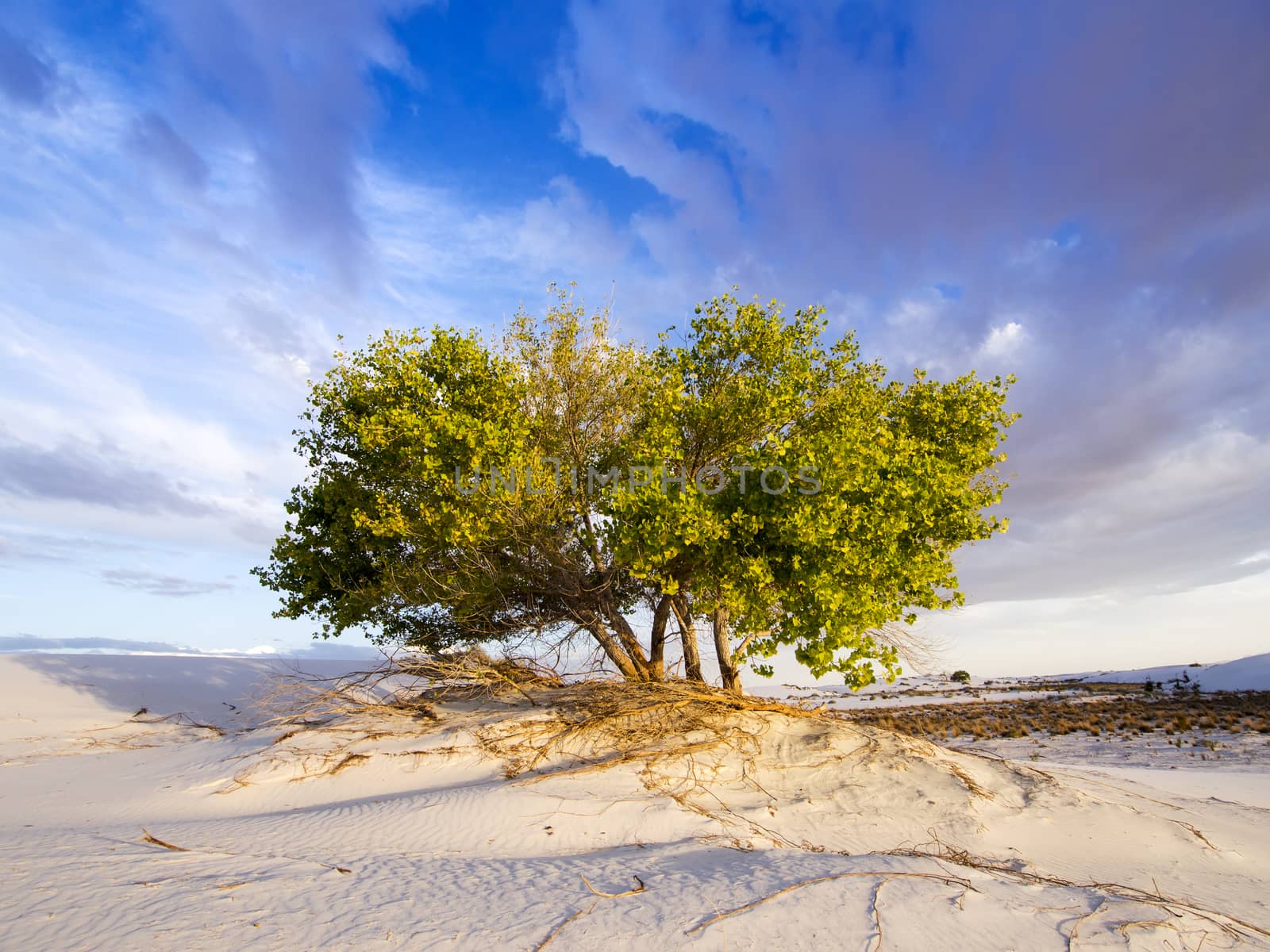 White Sands National Monument, NM