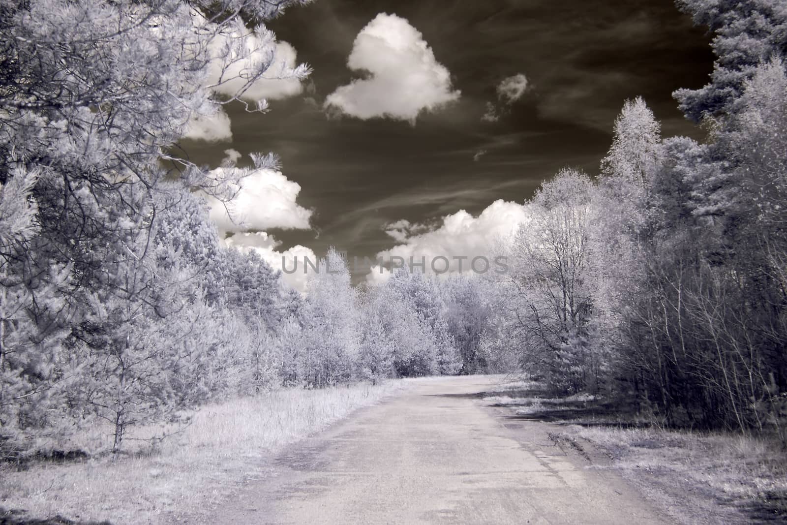 Infrared photography of a way