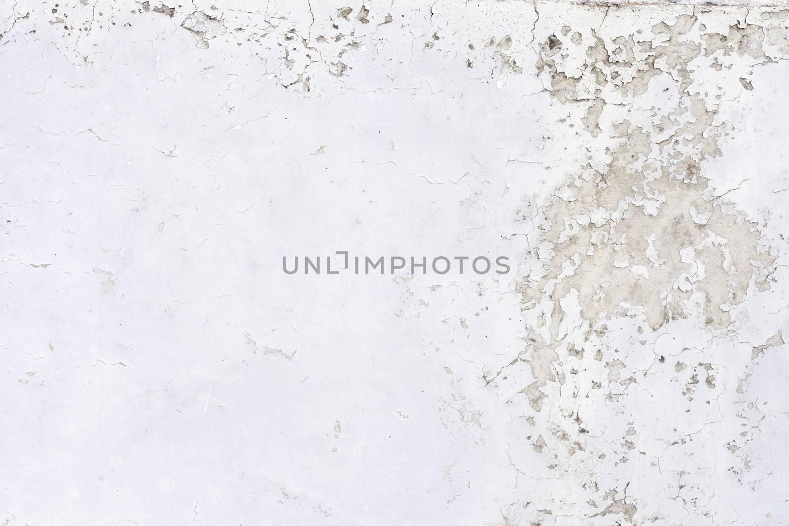 Grungy white concrete wall background by H2Oshka