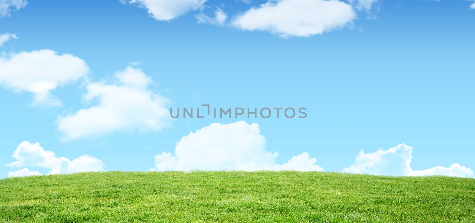 Field and sky with copy space