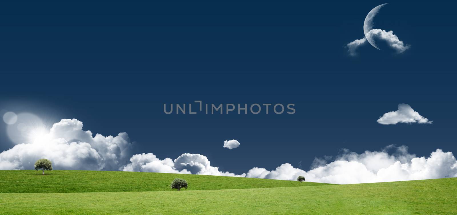 Field and sky with copy space