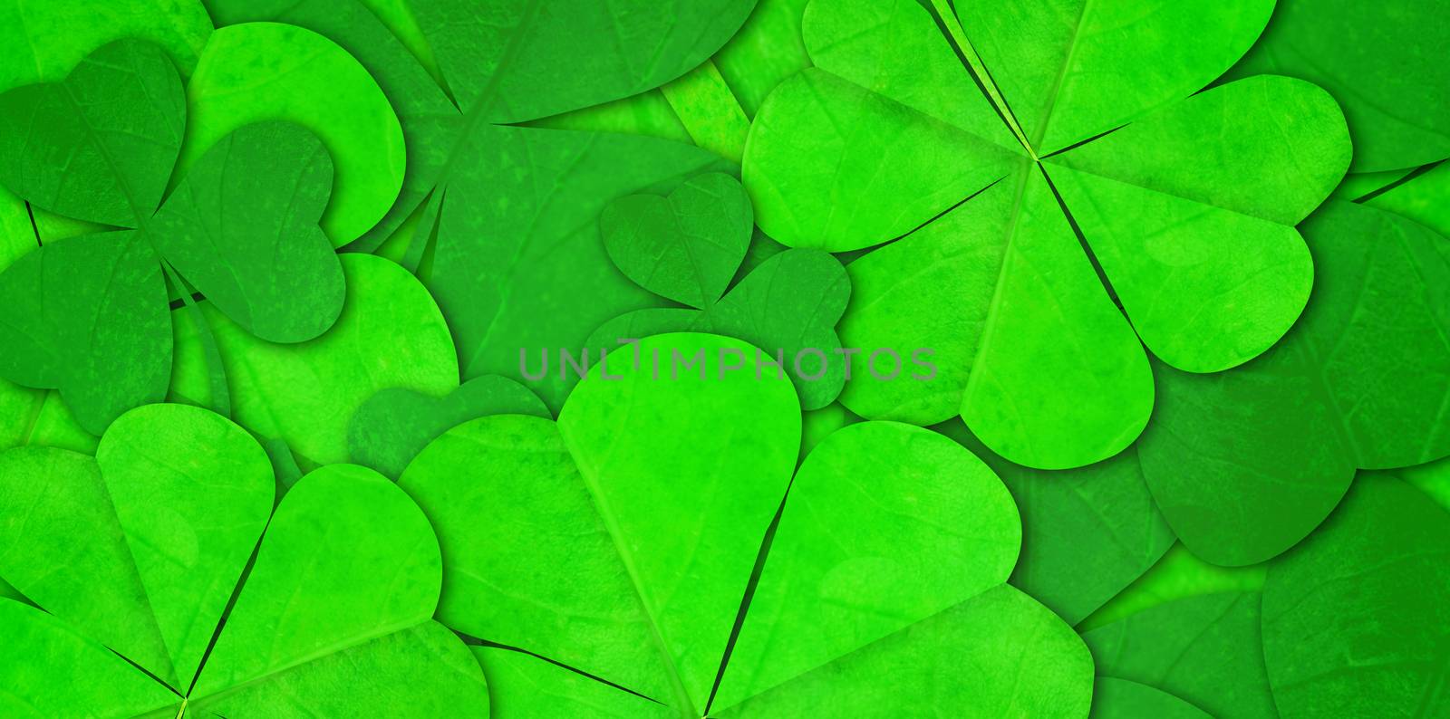 Shamrock pattern