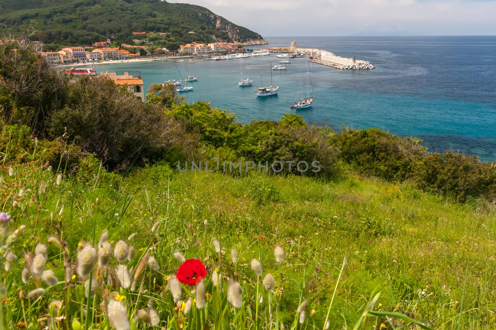 The village of Marciana Marina on Elba island. Coast in Tuscany, Italy