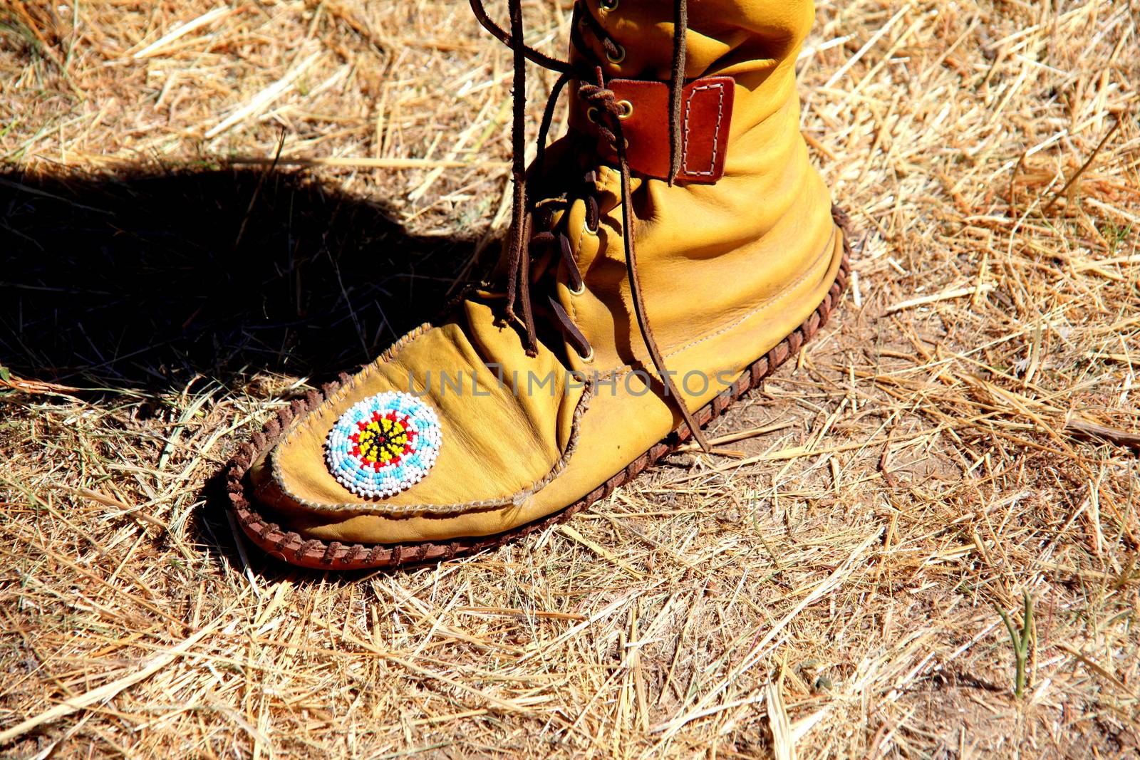 Indian moccasin displayed outdoors.