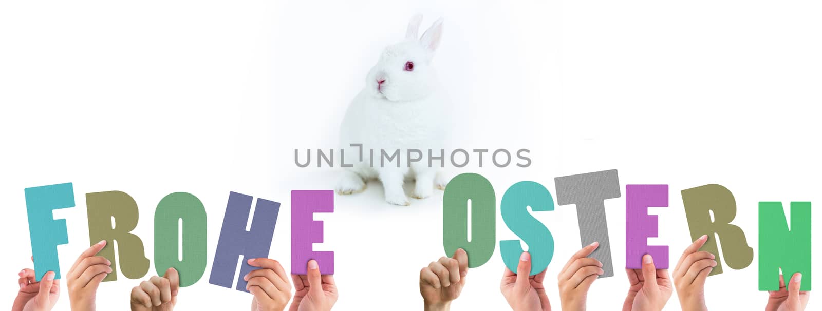 Hands holding up frohe ostern against white bunny facing camera