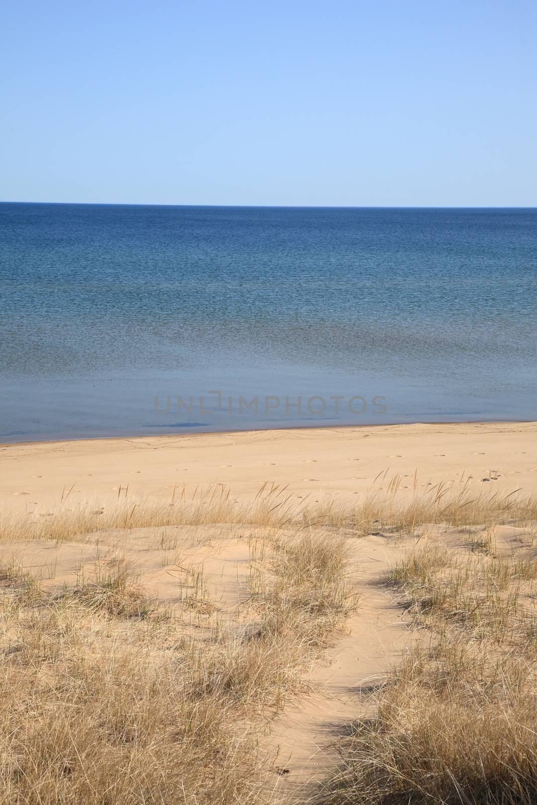 Grassy and sandy shoreline and beach of a North American Great Lake Superior in Michigan.