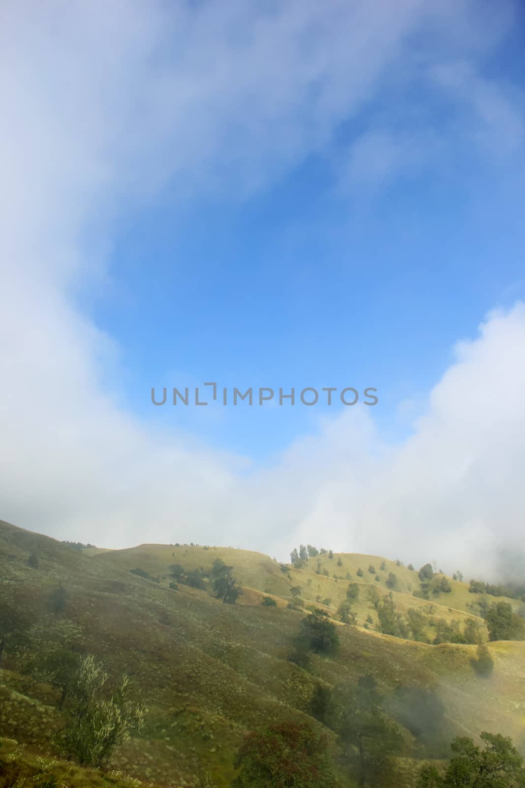 Landscape on mountain with grass and cloud