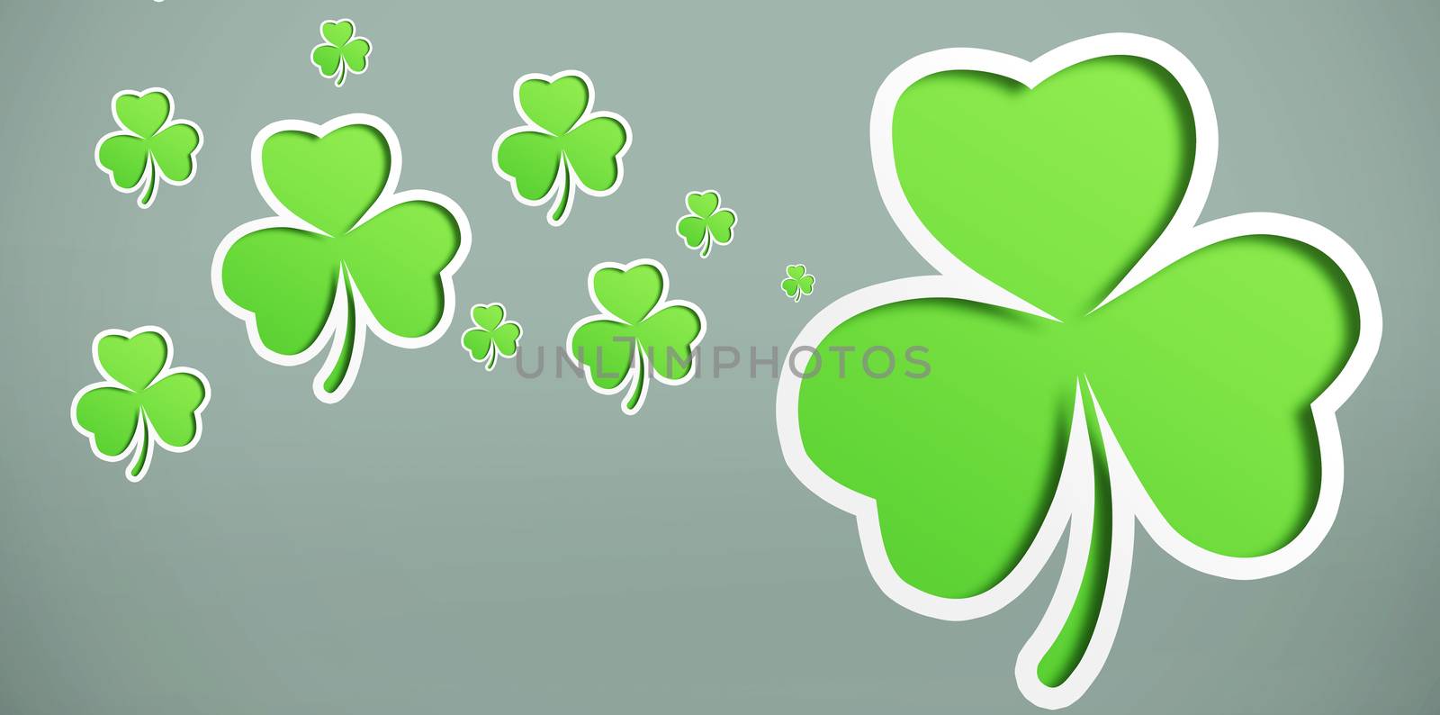 Different sized shamrocks on grey background