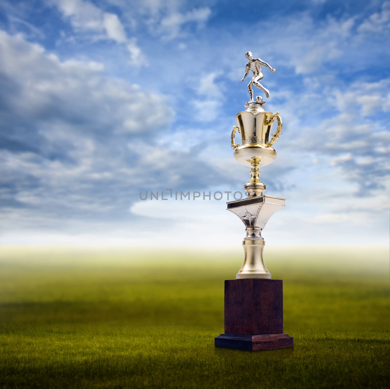 Football trophy with nice landscape background, Success concept by pixbox77