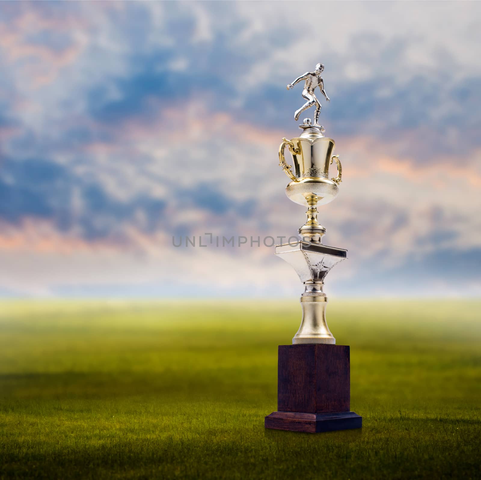 Football trophy with nice landscape background, Success concept by pixbox77