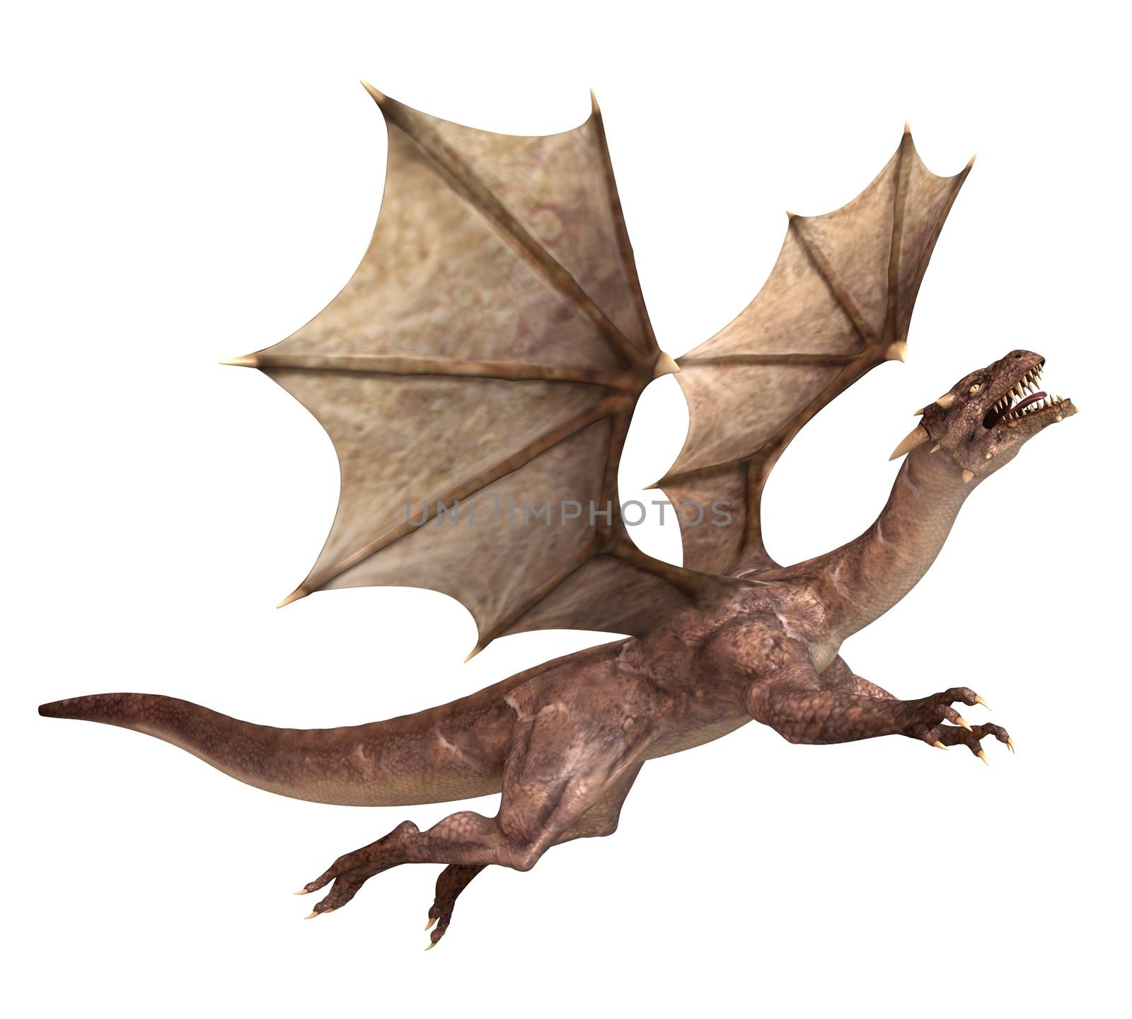 3D digital render of a soaring fantasy dragon isolated on white background