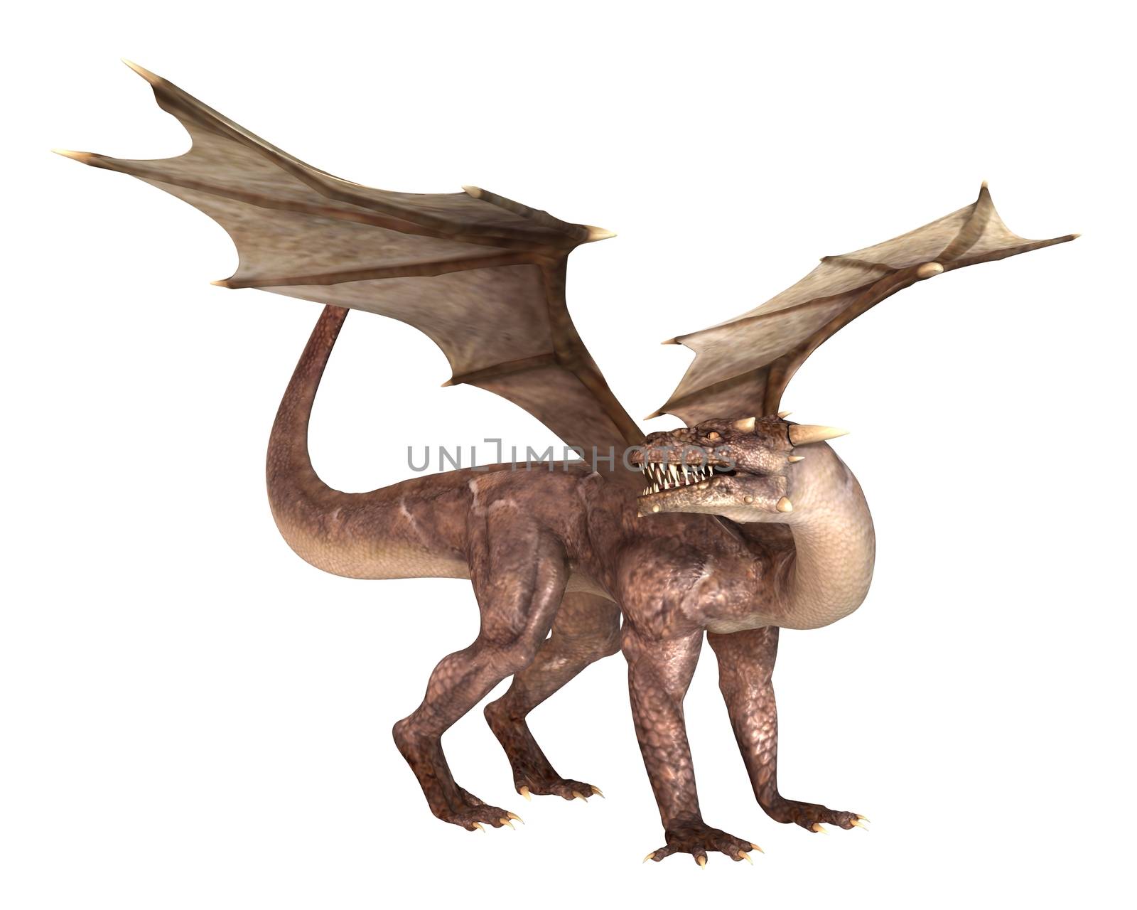 3D digital render of fantasy dragon isolated on white background