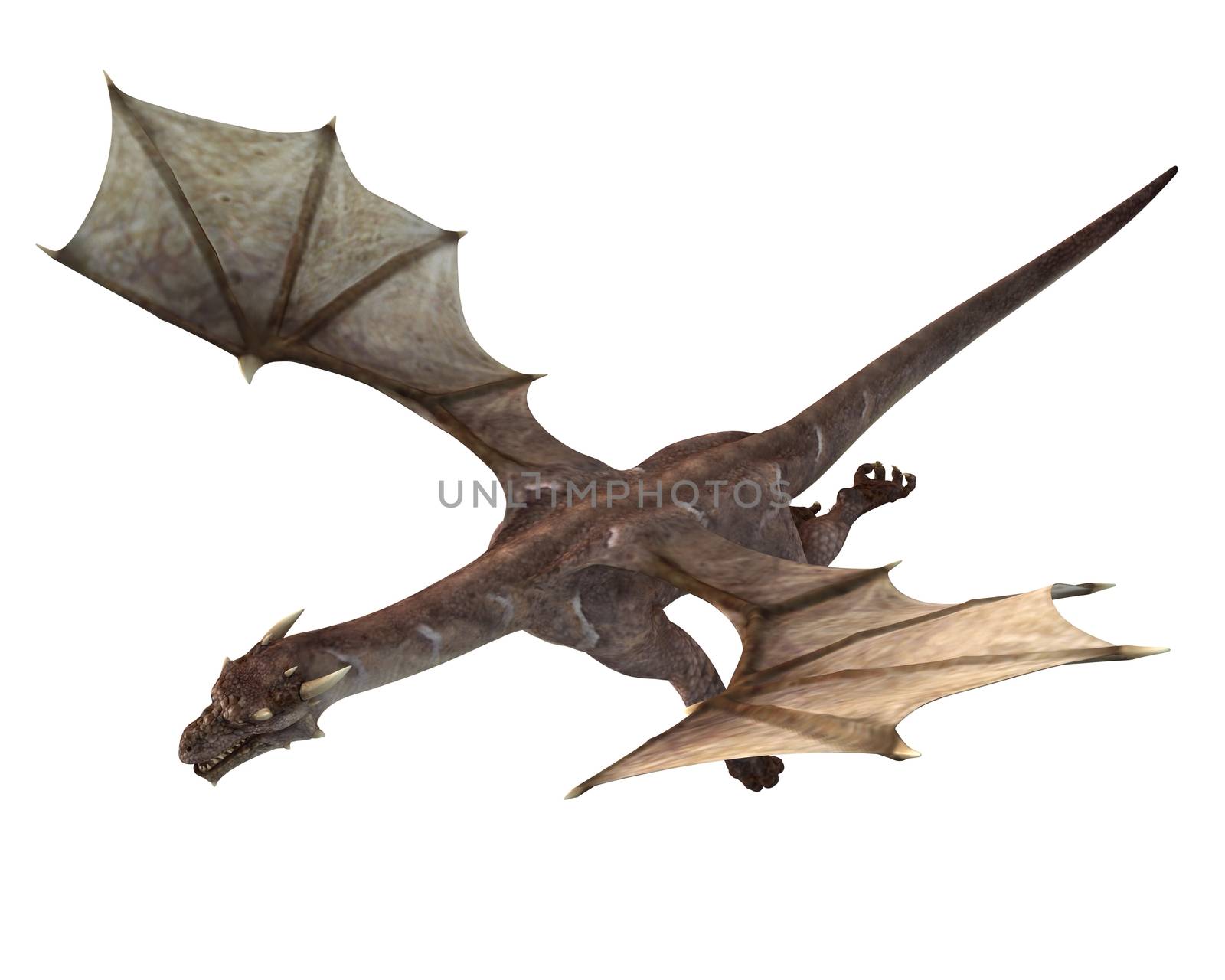 3D digital render of a soaring fantasy dragon isolated on white background