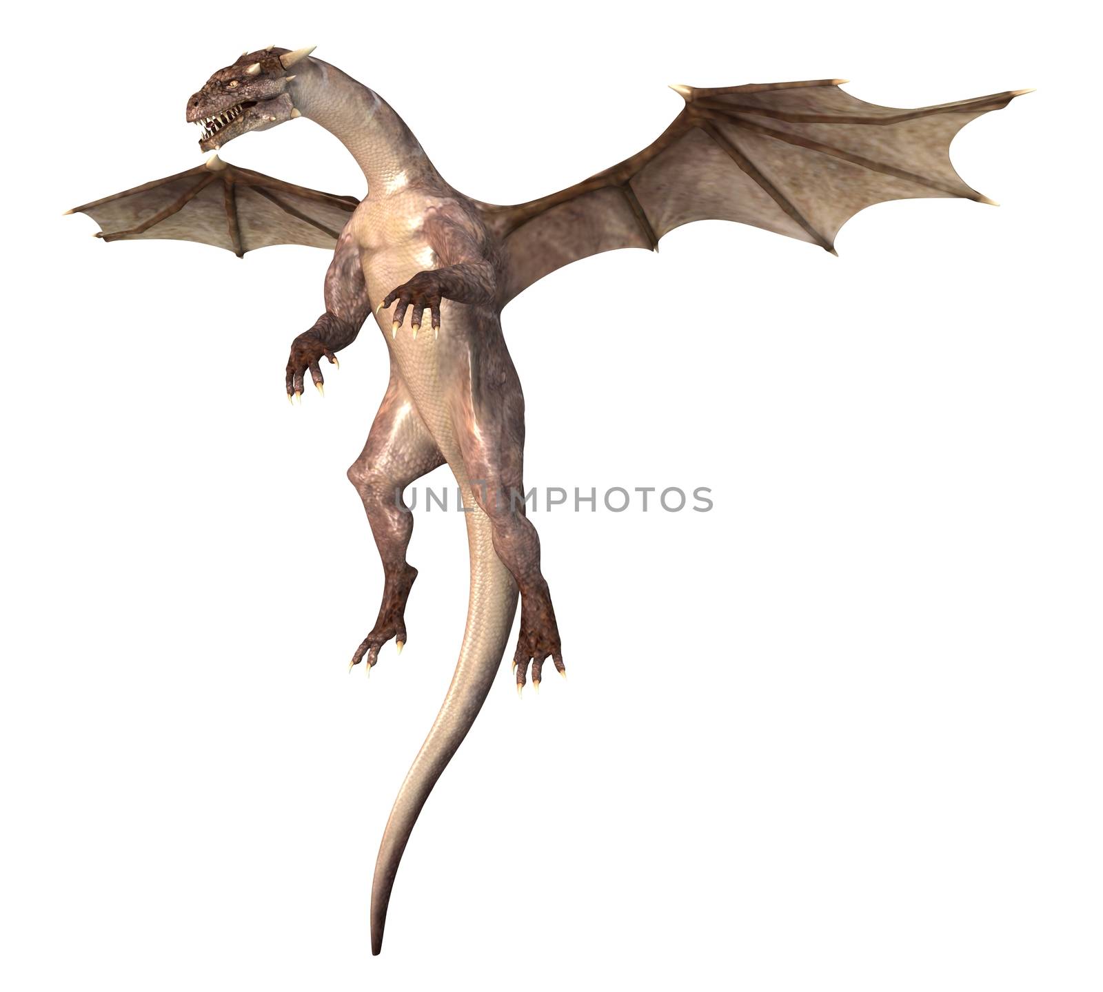 3D digital render of a soaring fantasy dragon isolated on white background