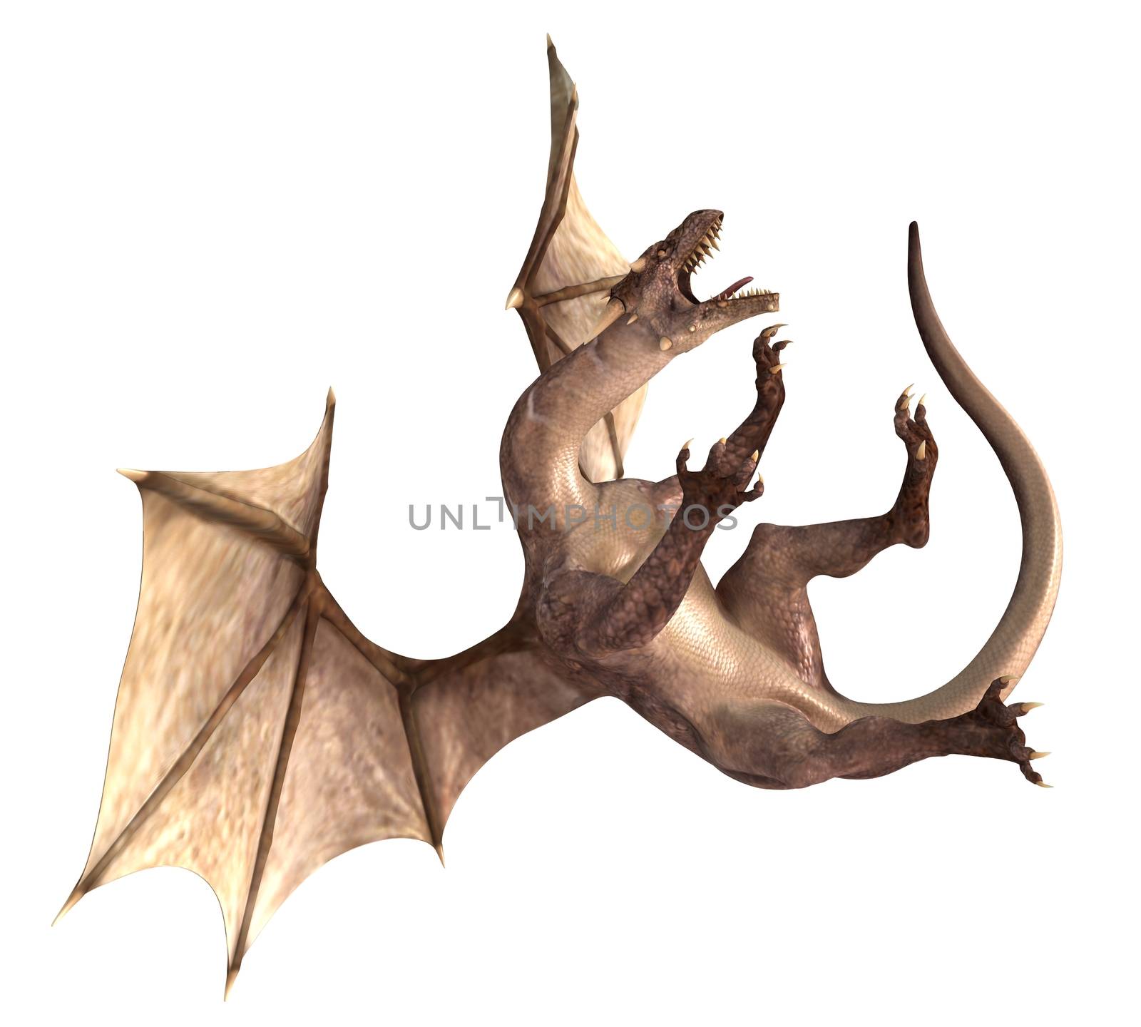 3D digital render of a soaring fantasy dragon isolated on white background