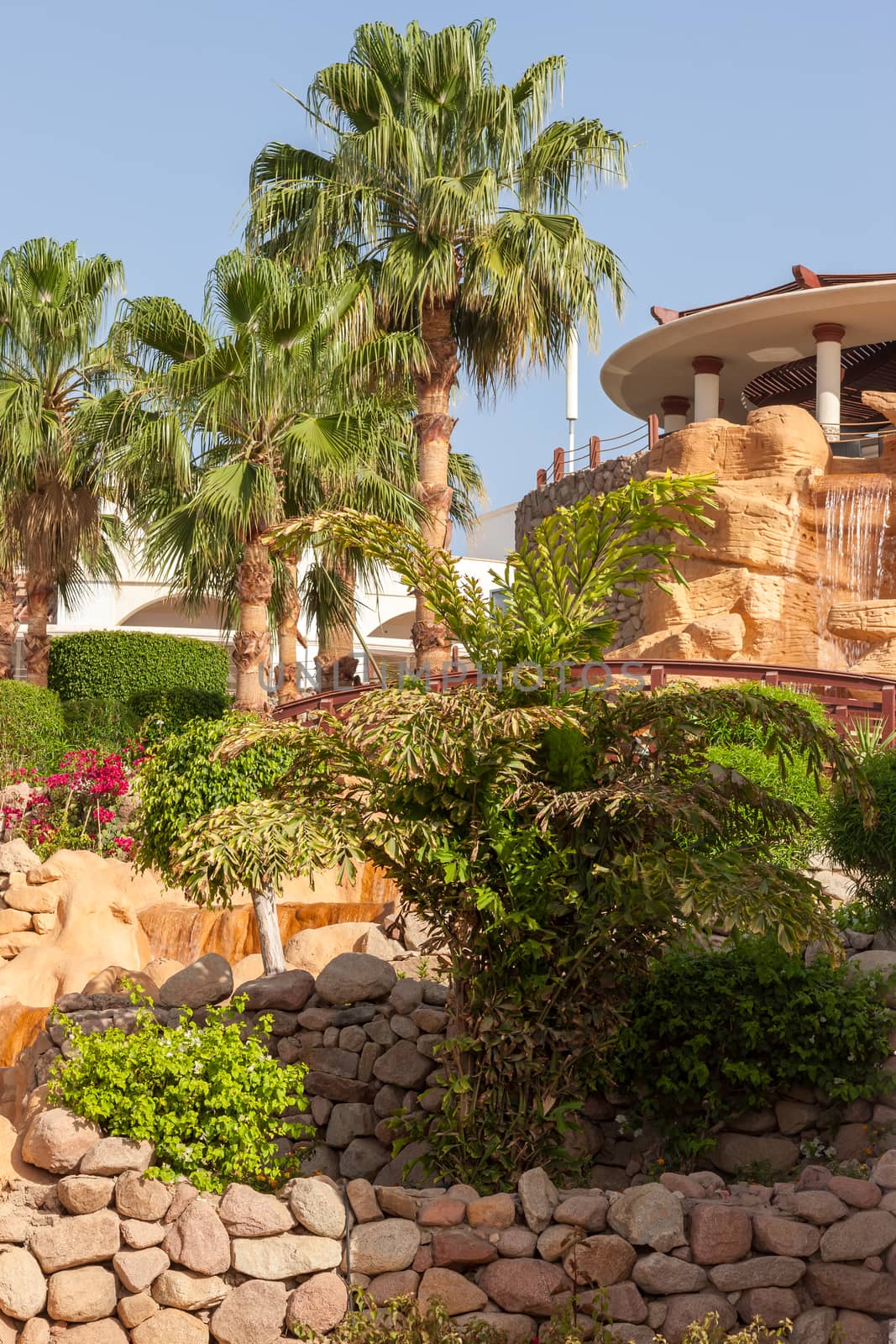 The tropical garden in Sharm el Sheikh, Egypt.