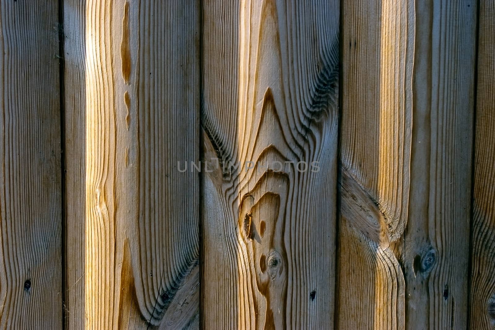 The Brown Wood Texture With Natural Patterns