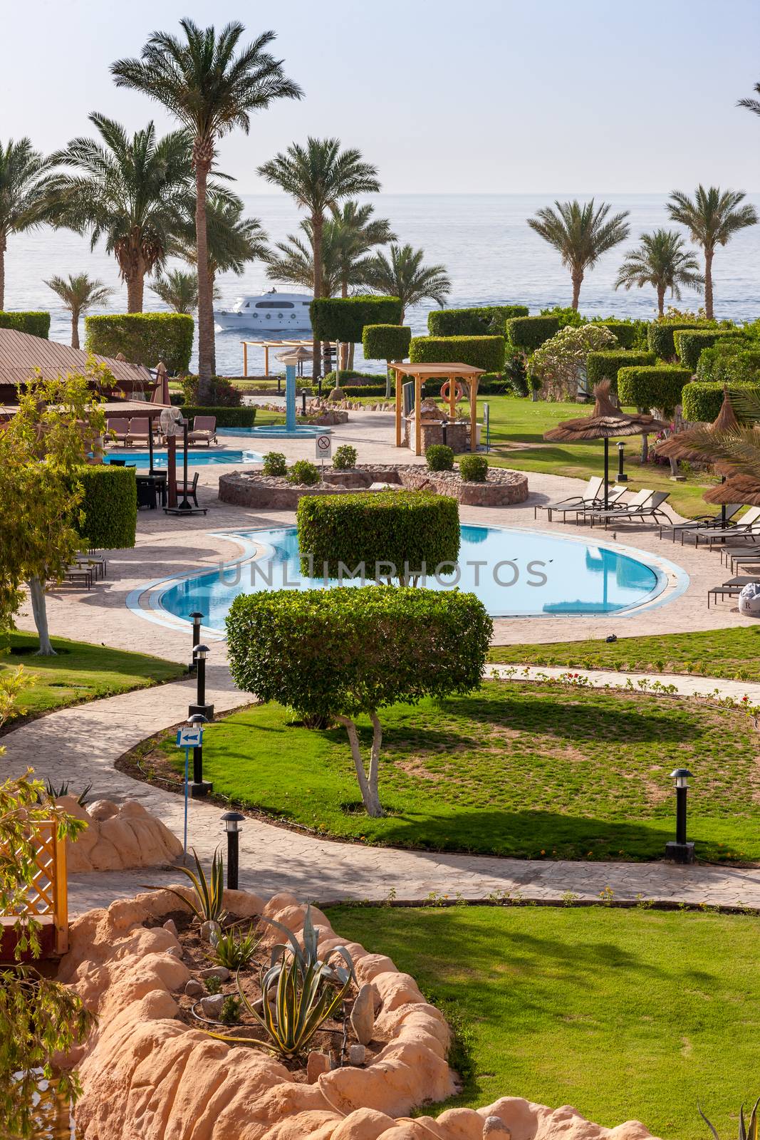 Palm alley on egyptian sand beach and  view at Red Sea. Egypt