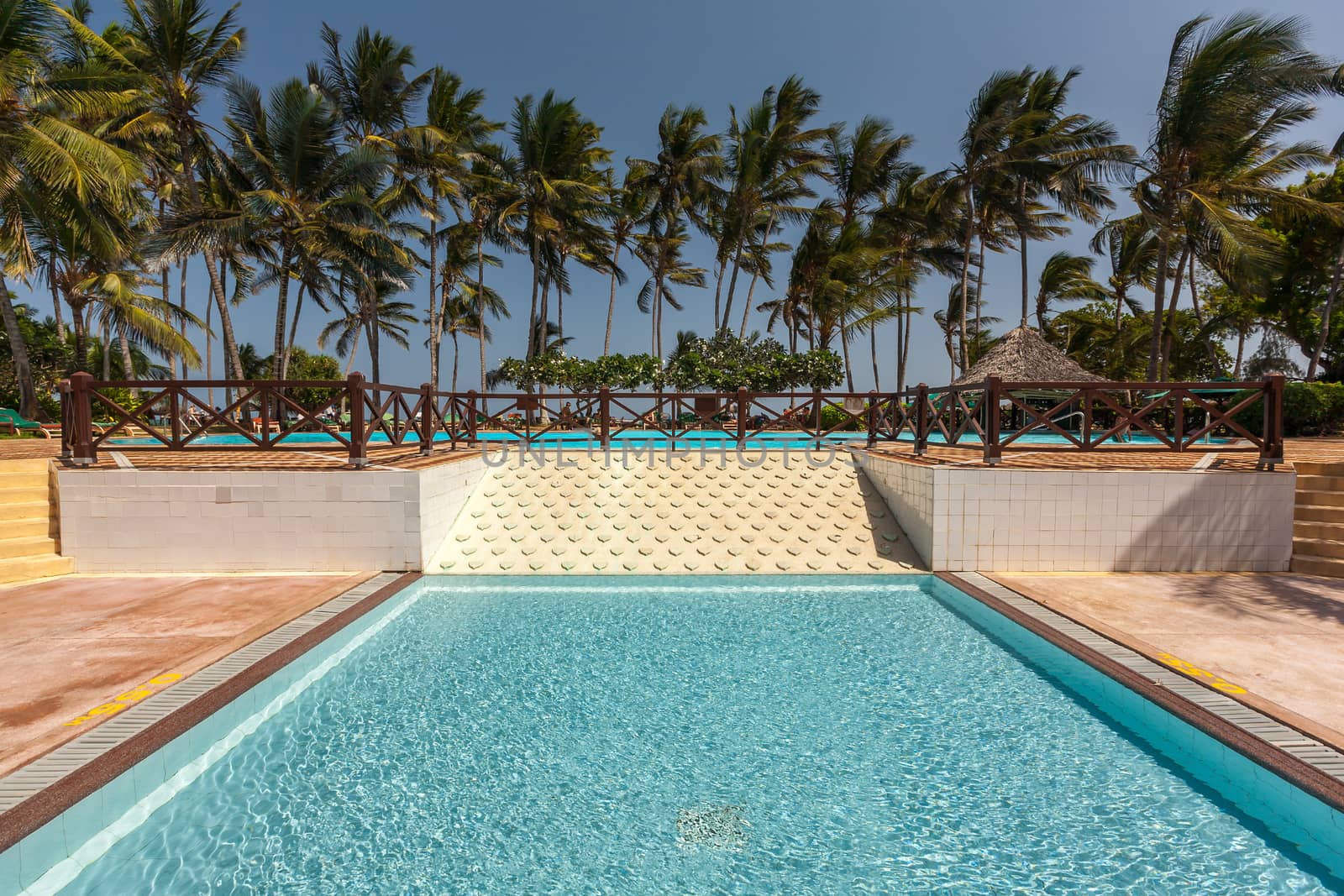 Swimming pool, palm trees and blue sky and sea.