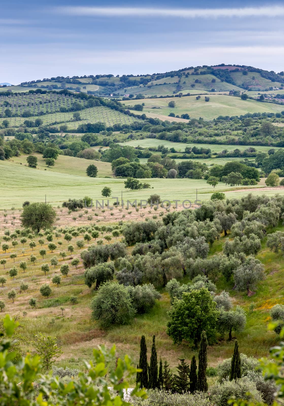 Typical landscape panorama in Tuscany region of Italy