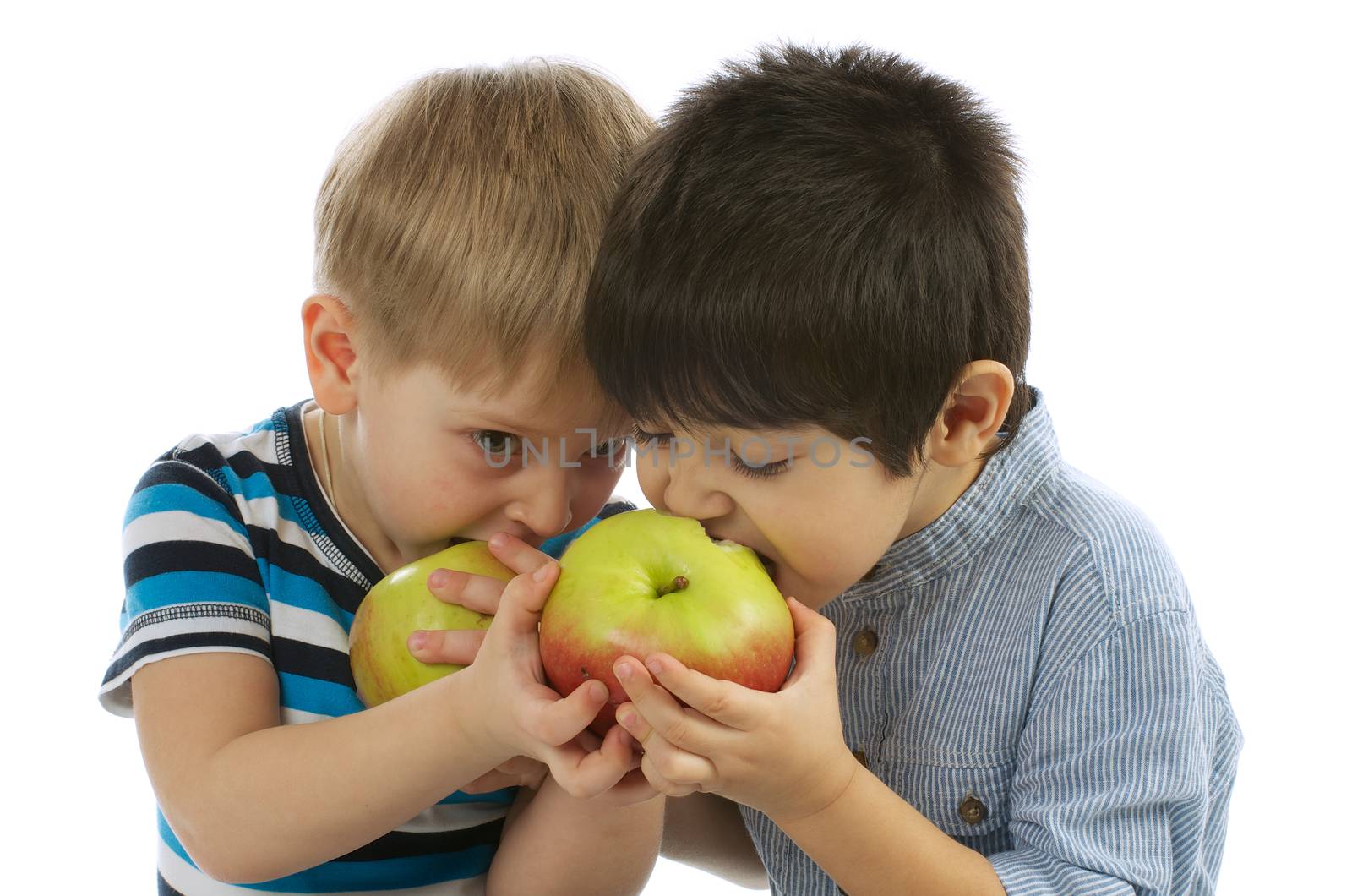 Two Little Boys Sharing an Apples to Each other and Eating