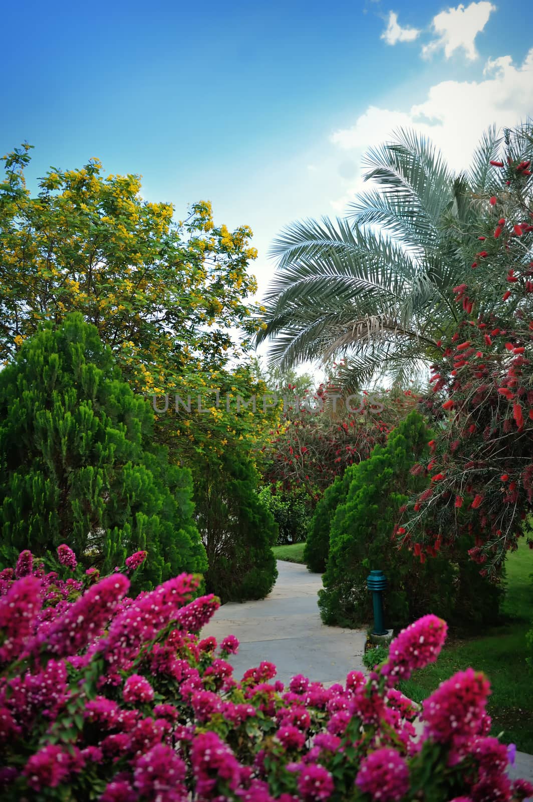 green trees and flowers on a background of blue sky.