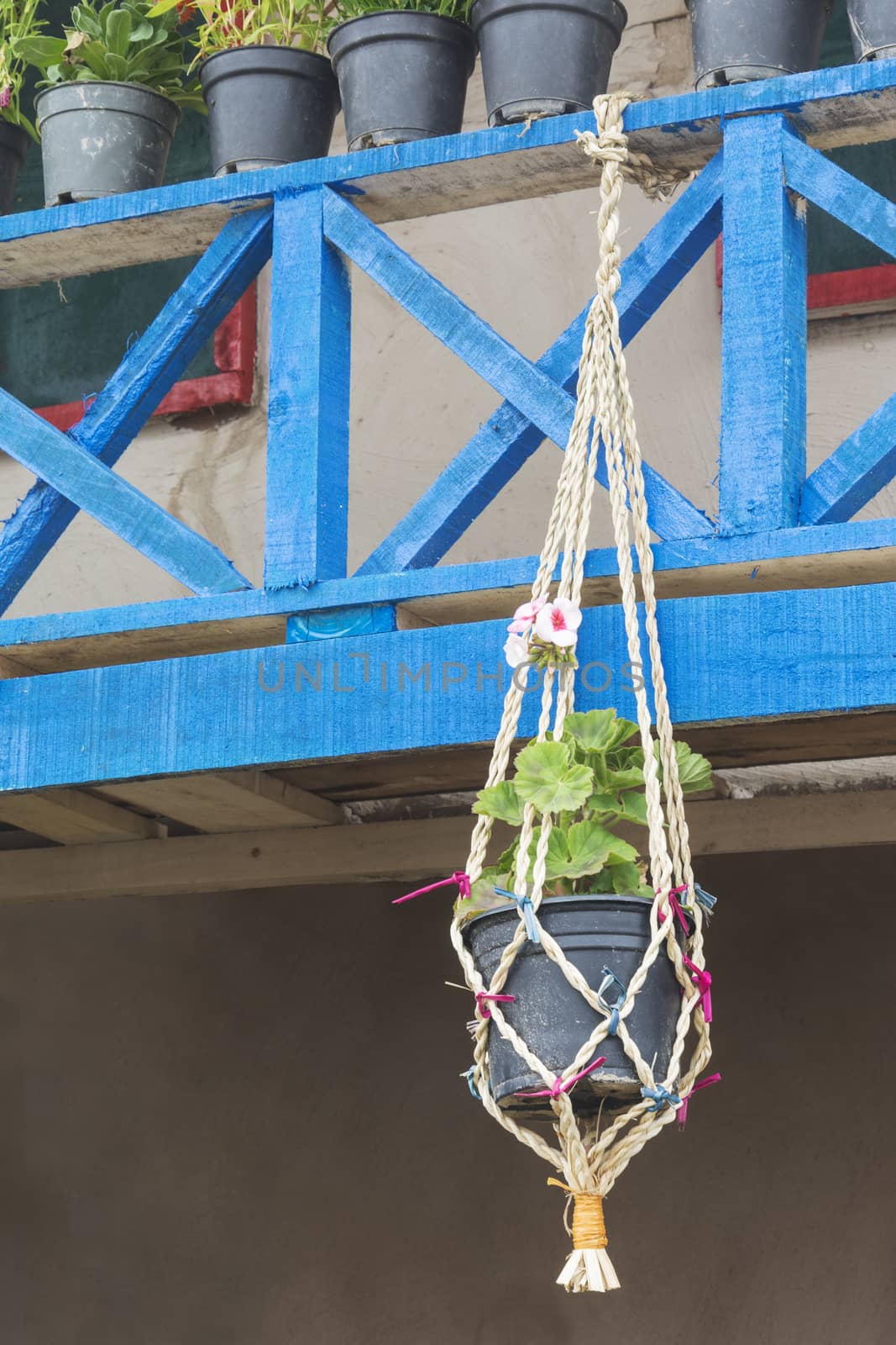 Flower vase hanged on cross  blue wood fence.