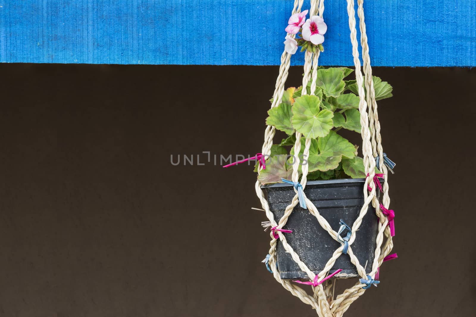 Close up view of  flower vase hanged on brown wall.