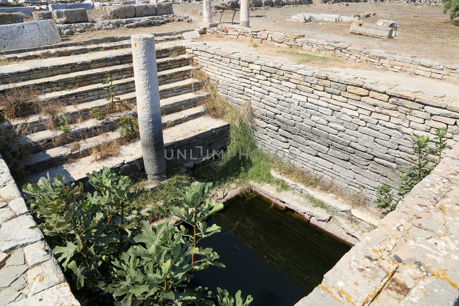 The island of Delos: an important archaeological site in Greece